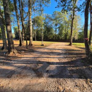 Gallery image of The Owl's Nest in Evergreen +30 photos