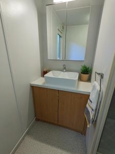 a bathroom with a sink and a mirror at Nyth y Dryw in Machynlleth +21 photos