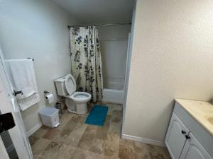 a bathroom with a toilet and a blue mat on the floor at Spacious Country Club Golf Course Retreat in Broomfield