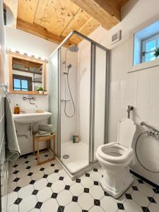 a bathroom with a shower and a toilet and a sink at Chalupa Andělka in Josefŭv Dŭl +36 photos