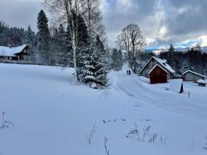 Gallery image of Chalupa Andělka in Josefuv dul +31 photos