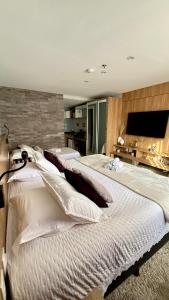 Charmoso Flat em Itaipava, 509 Mangabeiras. في بتروبوليس: غرفة نوم بها سريرين وتلفزيون بشاشة مسطحة