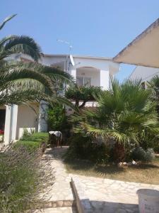 a house with palm trees in front of it at Apartments Lončar in Novalja