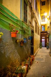 Un callejón con plantas en macetas al costado de un edificio. en Riad Layali noor, en Fez