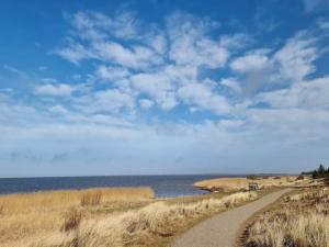 Φυσικό τοπίο κοντά σε αυτή η παραθεριστική κατοικία +30 φωτογραφίες