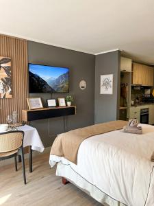 ein Schlafzimmer mit einem großen Bett und einem Fernseher an der Wand in der Unterkunft Centro Cívico - GYM - Piscina - WiFi - Terraza - Security 24-7 in Santiago