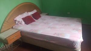 a bed with pink sheets and red pillows on it at Casa Argentina in Limpio +8 photos