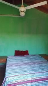 a green bedroom with a bed with a red pillow at Casa Argentina in Limpio