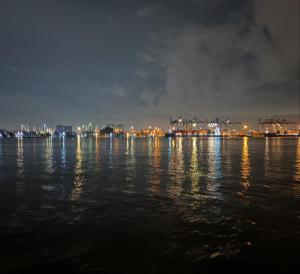 Φυσικό τοπίο κοντά σε αυτό το δωμάτιο σε οικογενειακή κατοικία +16 φωτογραφίες