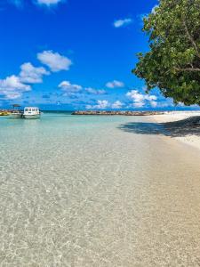 Φυσικό τοπίο κοντά σε αυτός ο ξενώνας