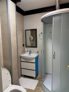 ein Badezimmer mit Toilette, Waschbecken und Dusche in der Unterkunft Zhaily Sai Resort, in Zhezdi