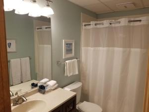 a bathroom with a sink and a toilet and a shower at Brighton guest suite in Boston