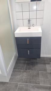 une salle de bain avec un lavabo et un miroir dans l'établissement Maisonnette avec jardin Reims centre, à Reims