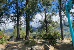 a grove of trees with mountains in the background at Letoilevelli in Salazie