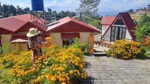a woman standing in a field of yellow flowers at BJ's Farmhouse in Nagarkot
