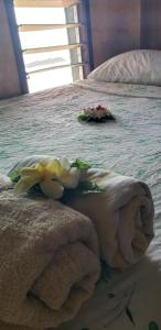 Fotografie z fotogalerie ubytování Eddy's Homestay v destinaci Nanuya Lailai