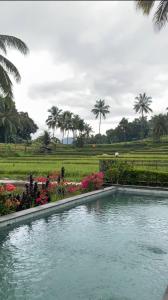 Bazén v ubytování gubugijen nebo v jeho okolí