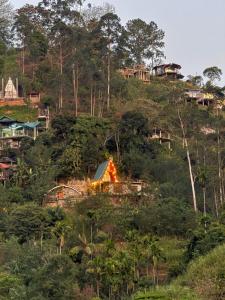 Příroda nedaleko bed and breakfast