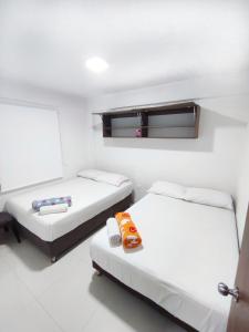 Φωτογραφία από το άλμπουμ του Apartamentos Sophia σε San Andrés +14 φωτογραφίες