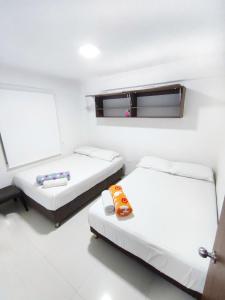 Φωτογραφία από το άλμπουμ του Apartamentos Sophia σε San Andrés