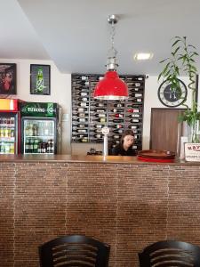 Hotel Podkovata酒廊或酒吧区