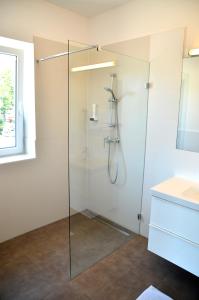 a glass shower in a bathroom with a sink at Gasthof Röck in Mureck