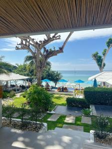 Příroda nedaleko rezortu