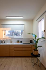 a kitchen with a sink and a potted plant at Shifon Ein Zivan in Ein Zivan