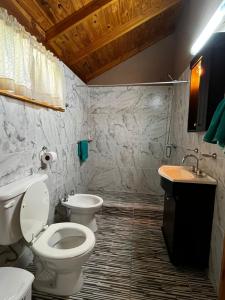 un baño con inodoro y lavabo en Cabaña sureña, en San Carlos de Bariloche