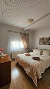 a bedroom with a large bed and a window at Agapi apartment in Florina