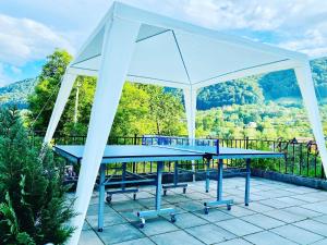 una mesa de ping pong azul en un balcón con vistas en Oana Boutique C D I, en Bran