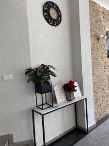 Una mesa con una planta y un reloj en la pared. en Oana Boutique C D I, en Bran