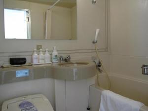 een badkamer met een wastafel, een toilet en een spiegel bij Ako Royal Hotel in Nakahiro