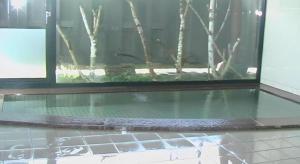 Bazén v ubytování Petit Hotel Hoshi no Shizuku nebo v jeho okolí