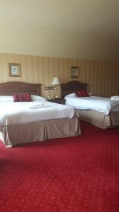a hotel room with two beds and two lamps at Corbett Court in Fermoy