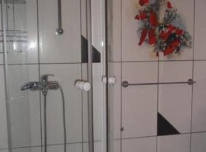 a shower in a bathroom with red flowers on the wall at Apartments Snježana in Sali +10 photos