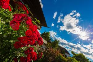 Zahrada ubytování Garni - Hotel Rinner Julia