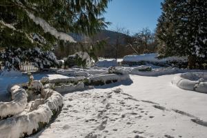 a snow covered garden with footprints in the snow at Ferienwohnung Kutscherstube in Altenbeken