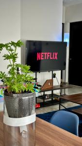 Fotografie z fotogalerie ubytování DCalli Next to the Alameda, terrace and confort v destinaci Orizaba