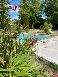 ein Garten mit Swimmingpool und rosa Blumen in der Unterkunft Séjour en château privé in Varaize