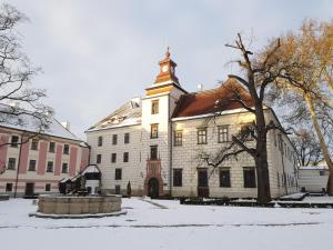 Modrá růže Třeboň v zimě