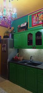 eine grüne Küche mit einer Spüle und einem Kühlschrank in der Unterkunft Trikala centro La vita è bella in Tríkala + 28 Fotos