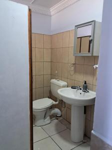 een badkamer met toilet en wastafel bij Lion's Cave 1B in Mosselbaai