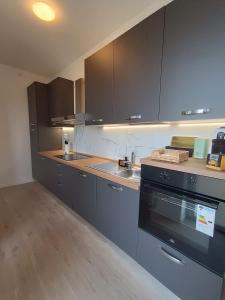 La cuisine est équipée de placards gris et d'une cuisinière noire. dans l'établissement Maison Cesare, à Ravenne