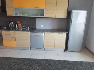 a kitchen with a refrigerator and a dishwasher at 1 Bedroom Apartment in Maceira