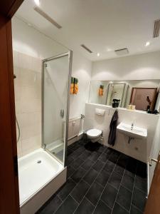 a bathroom with a shower and a toilet and a sink at Gewölbekammer Lichtenwalde in Niederwiesa