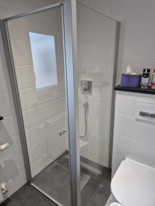 eine Duschkabine im Bad mit WC in der Unterkunft Modern habitable gallery, centrally located in Hirschaid in Hirschaid
