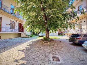 ein Baum auf einem Bürgersteig, unter dem Autos parken in der Unterkunft Cris & Ema Luxury Downtown Apartment in Arad