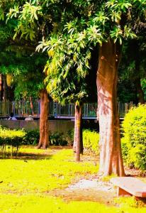 Κήπος έξω από το Titus Sunset Terrace Hideaway