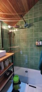 ein Badezimmer mit einer grünen Wand und einer Dusche in der Unterkunft Le Cigalou in Valaurie